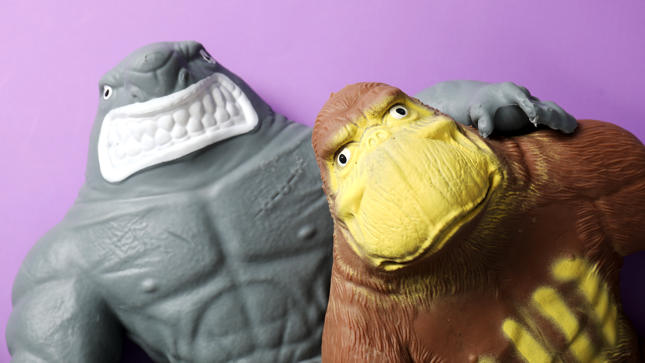 Monke + Shark